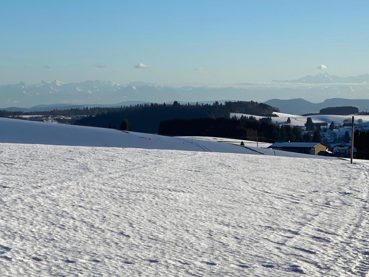 Appartement Bergwaerts Rickenbach  Luaran gambar