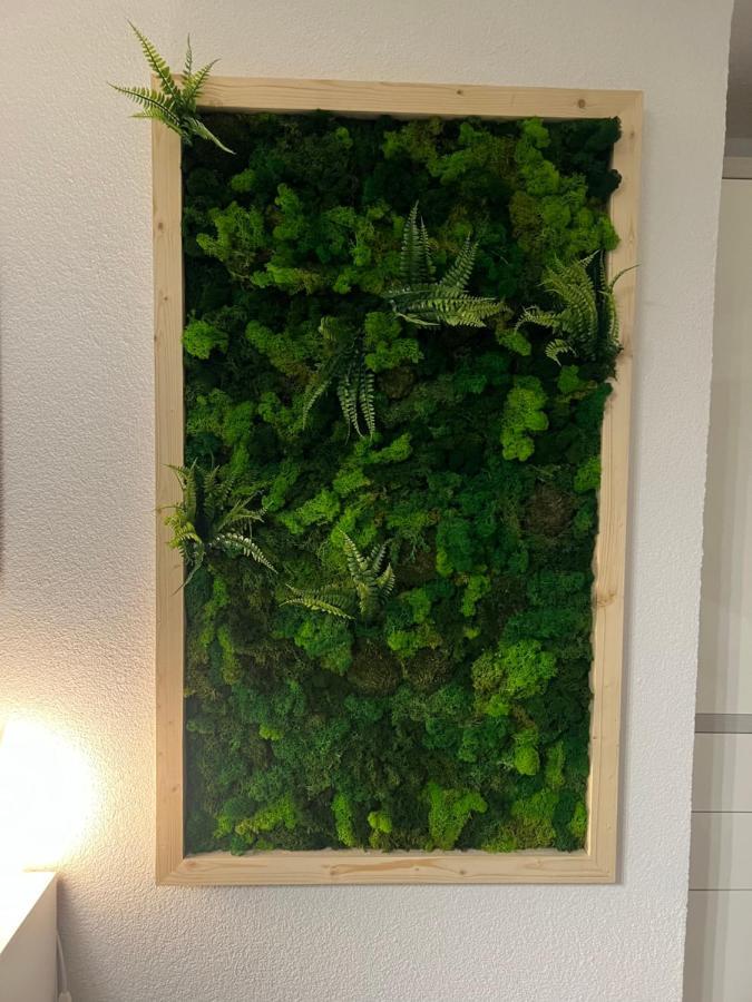 Appartement Bergwaerts Rickenbach  Luaran gambar